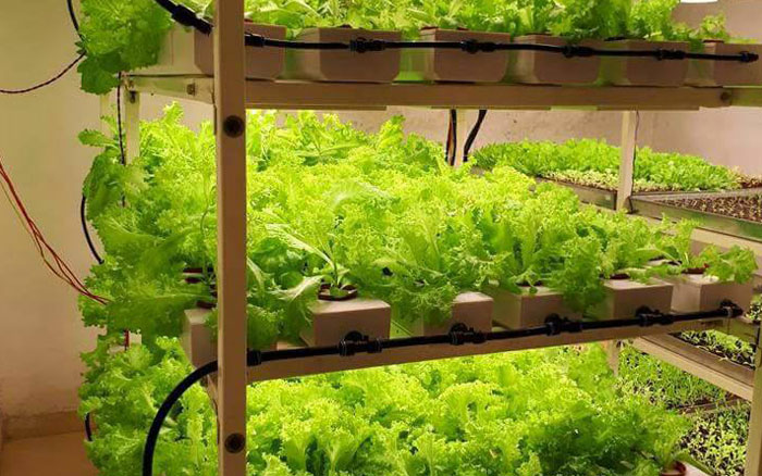 Food Beverages & Nutrition