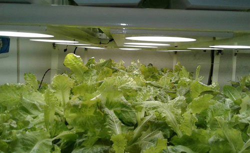 Influencer Business Opportunities And Challenges