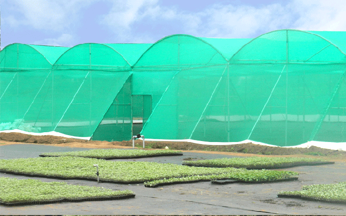 GI Clamps & Accessories