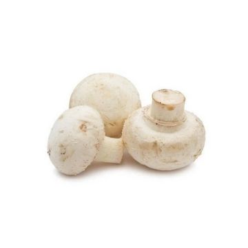 product-tab-1